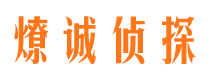 盐都市侦探调查公司